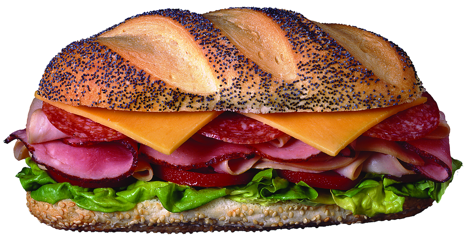 salami sandwich